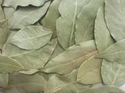 Лавровый лист и Пряности семена 